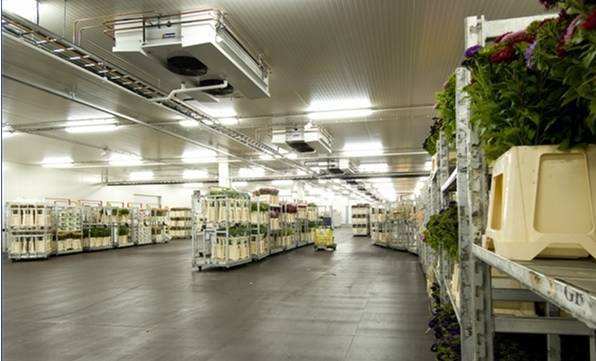 寧波建冷庫(kù)多少錢(qián)一立方？每立方能存多少貨物